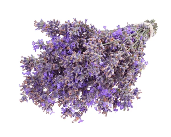 Ramo Con Lavanda Fresca Sobre Fondo Blanco Aislado Fondo Selectivo —  Fotos de Stock