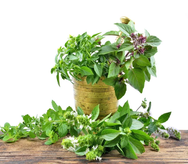 Ocimum Sanctum Blume Auf Einem Holzbrett Selektiver Fokus — Stockfoto