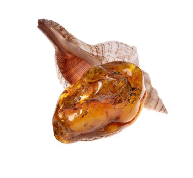 Baltık amber