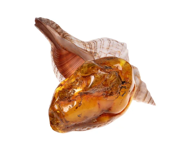 Baltic amber — Stock Photo, Image