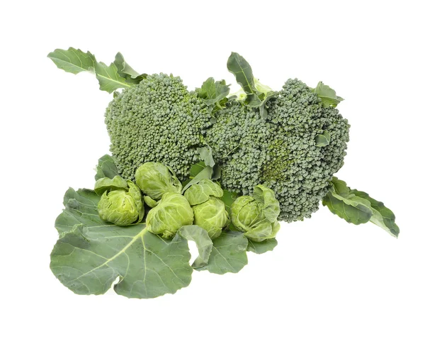 Broccoli freschi — Foto Stock