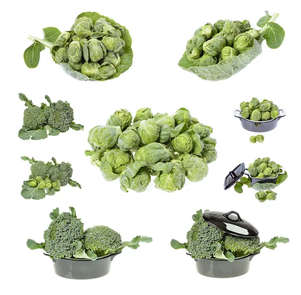 Brocoli frais et choux de Bruxelles — Photo