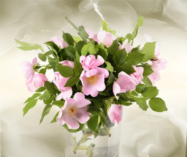 Pink flowers — Stock Photo, Image