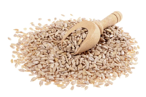 Fresh sunflower seeds — Stock Photo, Image