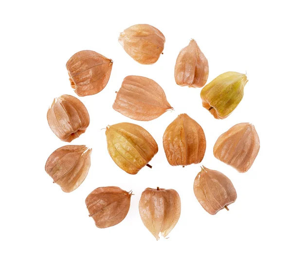 Acercamiento grosella, physalis , — Foto de Stock