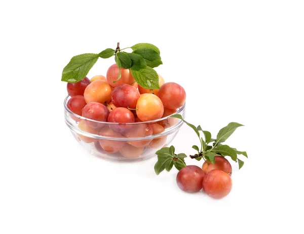 Fresh plums in a glass container — Stock Photo, Image