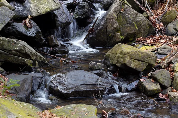 Řeka v nedotčené přírodě — Stock fotografie