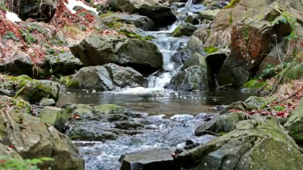 The beauty of the mountain river — Stock Video