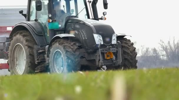 Revestimiento del cultivo de trigo con fertilizante artificial — Vídeo de stock