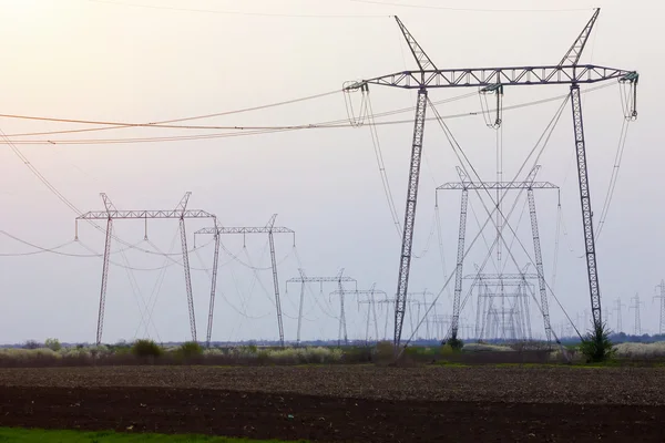 Elektrisk överföring står hög i perspektiv — Stockfoto