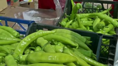 Ambalaj taze organik biber üretmek