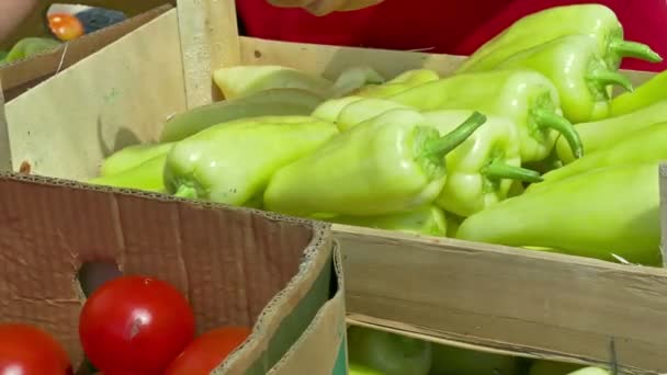 Poivrons légumes pour la vente sur le marché — Video