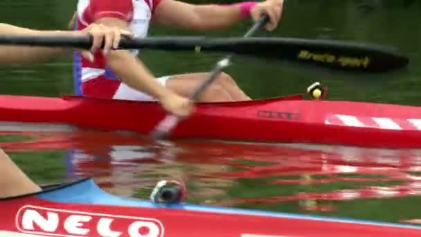 National team in rowing — Stock Video