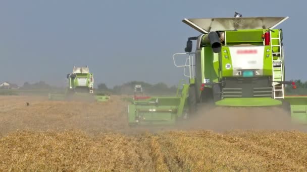 Agricultural machinery in the work of the harvest — Stock Video