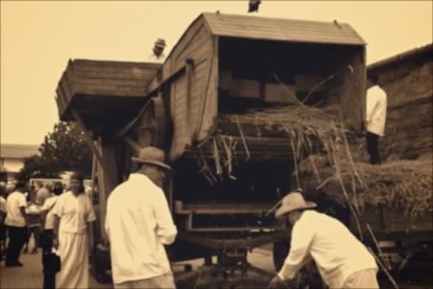 Grandi vecchie trituratrici per grano in funzione — Video Stock