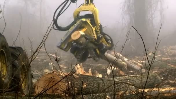 Holzschneidemaschine Verarbeitet Stamm Moderne Holzschneidemaschine Schlägt Einem Nebligen Wintermorgen Bäume — Stockvideo