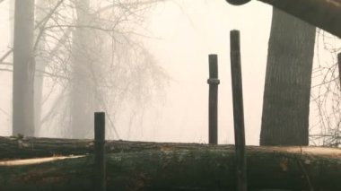 Ormandaki Karavanın Ahşap Kütükleri Bir karavana tahta kütükler yükleme