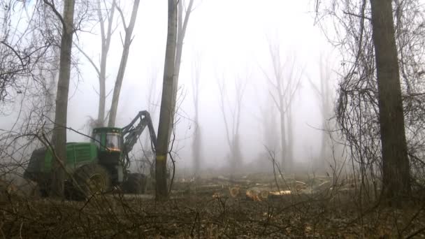 Baumschneidemaschine Moderne Holzschneidemaschine Schlägt Einem Nebligen Wintermorgen Bäume — Stockvideo