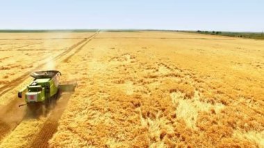 Buğday tarlasında hasat sırasında hasat hasatçısını birleştirmek