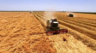 Buğday hasadı mevsiminde havadan çekim; hasat zamanı hasat makinesini bir buğday tarlasında birleştirmek