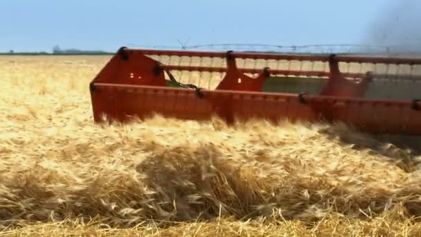 现代联合收割机的小麦收割机 蒙太奇 联合收割机 将小麦籽粒倒入拖拉机载货车 — 图库视频影像