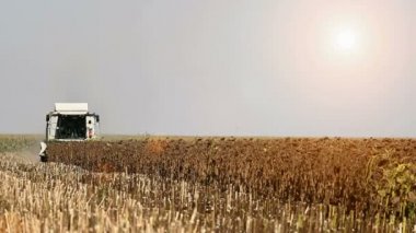 sezon birleştirerek