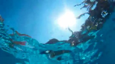 Açık gezinme yüzücü