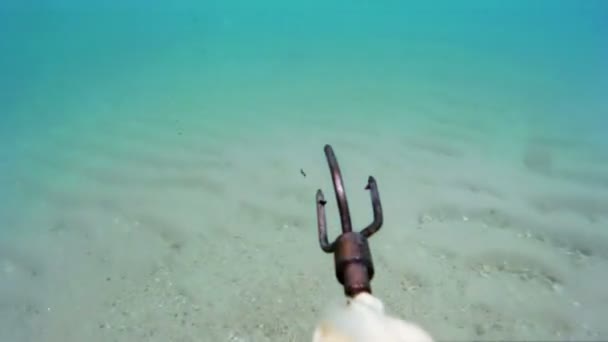 Jachtscènes onderwater — Stockvideo