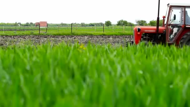 Rode trekker in een veld beplanting corn — Stockvideo