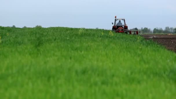 Tavaszi vetés kukorica egy traktor és egy ültetvényes — Stock videók