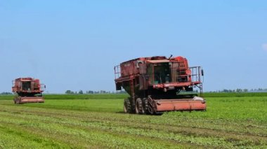 Bir alanda çalışan biçerdöver