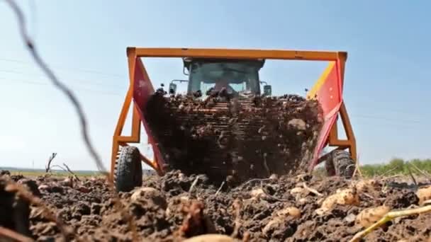 Aardappel digger op het werk — Stockvideo