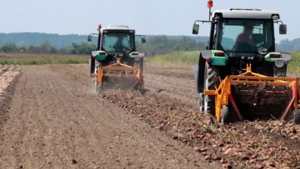 Trabalho na colheita da batata — Vídeo de Stock