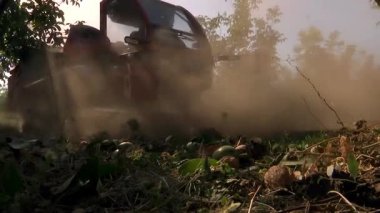 Meyve bahçesinde ceviz hasadı; büyük miktarlarda düşen fındık toplamak için modern tarım makinesi