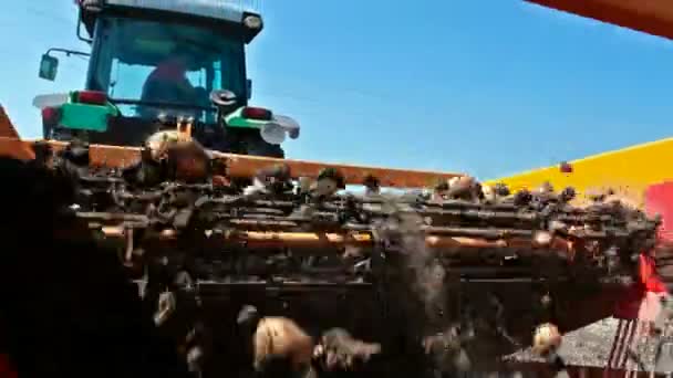 Traktor och potatis digger — Stockvideo