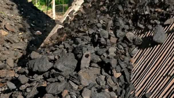 Klumpar av brunt kol — Stockvideo