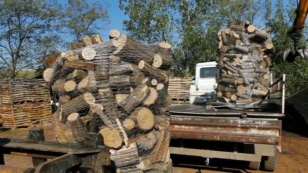 Laden bereid brandhout — Stockvideo