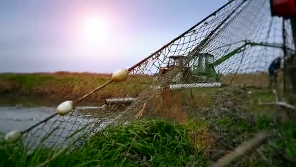 Balık ağı çekerek — Stok video