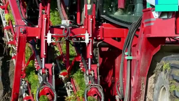 Máquinas especializadas para a colheita de cenouras — Vídeo de Stock