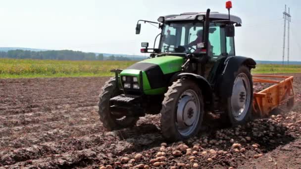 Trator e escavador de batatas — Vídeo de Stock
