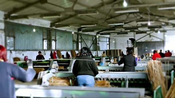 Заводские залы и рабочие для машин — стоковое видео