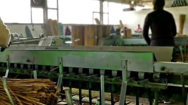 Maquinaria de producción en la sala de la fábrica — Vídeos de Stock