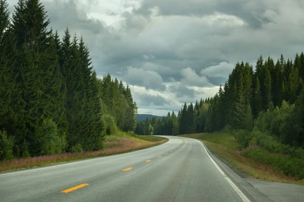 Road or highway with forest and sky with clouds. Background road