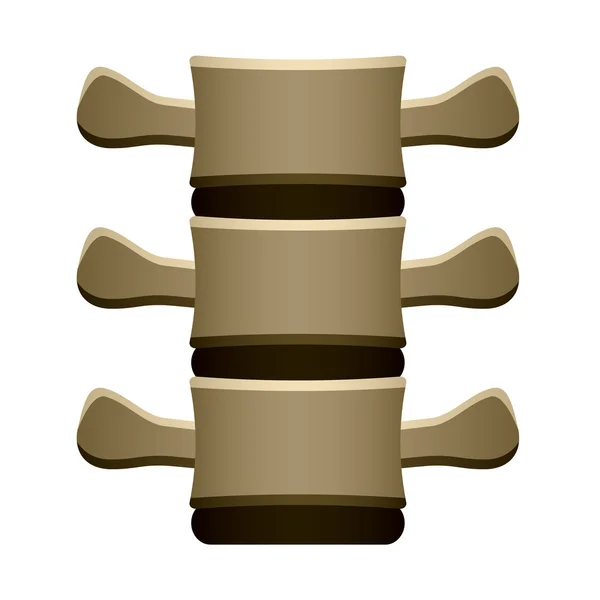 Vértebras da coluna vertebral humana vista frontal — Vetor de Stock