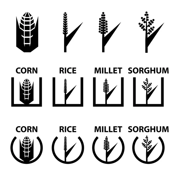 Maíz arroz mijo sorgo cereales símbolos — Archivo Imágenes Vectoriales