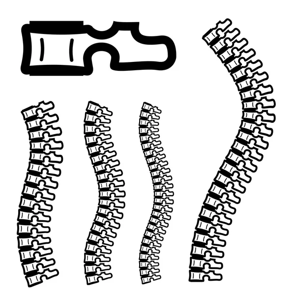 人体脊柱轮廓 — 椎刷 — 图库矢量图片