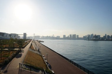 Toyosu Rıhtımı Gururi Parkı Tokyo Stok Fotoğrafları Stok Resimleri