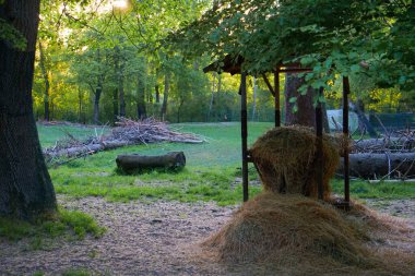 Hayvanların Beslenme Yeri Resim Stoku Resimleri Stoku
