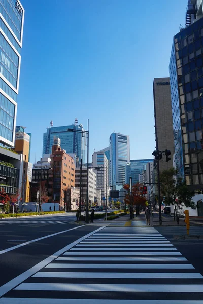 Tokyo Caddesi Japonya Stok Resimleri Stok Resimleri — Stok fotoğraf