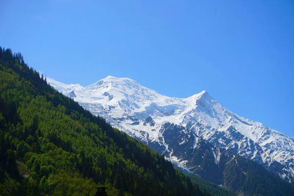 Chamonix Frankrijk bergen met bos Gratis Stock Foto Stock Foto Stock Foto Afbeeldingen — Stockfoto